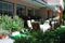 Hotel Lech
