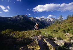 Mountainbiken Lech Zürs Sommer in Lech Zürs (©Wolfgang Ehn)