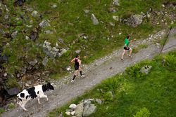 Laufen in Lech Berglauf am Arlberg (©Patrick Säly)